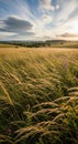 Gentle rolling fields of grass stretch into the distance under a dynamic sky with Royalty Free Stock Photo