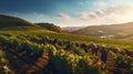 Gentle rolling hills of a vineyard at harvest time. Ai Generated.NO.02