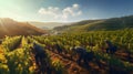 Gentle rolling hills of a vineyard at harvest time. Ai Generated.NO.01