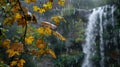 The gentle rustle of leaves and the distant sound of a waterfall welcome you to another day in the mountains. As you