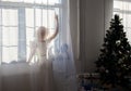 gentle silhouette of slender young woman standing with her back near window behind tulle curtain Royalty Free Stock Photo