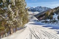 A gentle ski slope in the mountains between the fir trees. In the distance, a working snow cannon. Royalty Free Stock Photo