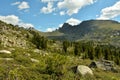 A gentle slope with a scattering of stones and rare lonely cedars overlooking a picturesque mountain valley on a sunny summer day