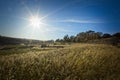 Gentle sloping fields in Malta