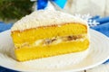 Gentle sponge cake with creamy banana layer, sprinkle coconut on top.