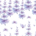 Gentle spring background, violet flowers pattern. Watercolor violet flowers, hand-drawn, isolated on white background Royalty Free Stock Photo