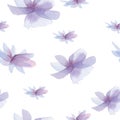 Gentle spring background, violet flowers pattern. Watercolor violet flowers, hand-drawn, isolated on white background