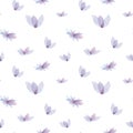 Gentle spring background, violet flowers pattern. Watercolor violet flowers, hand-drawn, isolated on white background Royalty Free Stock Photo