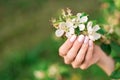 Gentle spring manicure on short nails. Gel Polish. Female hand holding wild flowers