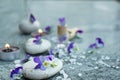 Gentle still life with violet pansies and props for spa treatments, white bath salt, burning candles and stones for a hot massage Royalty Free Stock Photo