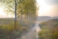 Spring Creek with Birch Reflections and Mist in Rural Landscape Royalty Free Stock Photo