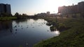 Gentle sunset in the park Okkerville near the water body with pack of ducks