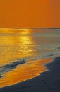 Gentle sunset seascape (vertbcal) Royalty Free Stock Photo