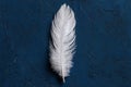 Feather on Blue Royalty Free Stock Photo