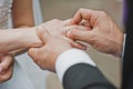 Gentle touches of hands of the newly-married couple 2051. Royalty Free Stock Photo