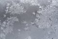 Gentle translucent winter pattern at window glass. Royalty Free Stock Photo