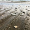 Gentle undulations in the sand create a rhythmical pattern, highlighting Royalty Free Stock Photo