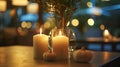 The gentle warmth from the candles adds to the cozy and welcoming atmosphere making the evening unforgettable. 2d flat