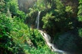 A gentle waterfall hidden from prying eyes in a charming hilly forest, where rays of light playfully penetrate