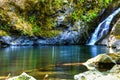 Gentle waterfall pours into a clean clear pool of water close to a hiking trail on the Rogue River in Oregon