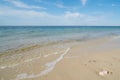 Gentle waves on an empty sandy beach with a calm ocean Royalty Free Stock Photo