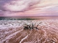 Gentle waves on an ocean beach under cloudy sunset sky