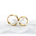 Gentle Wedding Celebration background - pair of wedding rings with bow Royalty Free Stock Photo