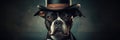 Gentleman Dog In A Classic Top Hat And Monocle Royalty Free Stock Photo