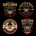 Gentlemen club vector set of emblems, logos, badges or labels in cartoon colored style on dark background Royalty Free Stock Photo
