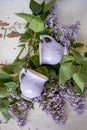 Gently purple bowl in the shape of a Bud, covered with icing. The skill of the ceramist.With branches of fluffy lilac