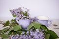 Gently purple bowl in the shape of a Bud, covered with icing. The skill of the ceramist.With branches of fluffy lilac