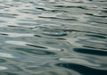 Gently rippling water surface with light reflections creating a pattern of soft, wavy lines. The Royalty Free Stock Photo