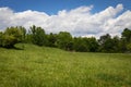 Gently rolling green meadow with treeline behind, clouds and blue sky beyond Royalty Free Stock Photo