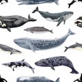 Gently seamles pattern with different whales. Royalty Free Stock Photo