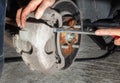 Removing caliper while replacing car brakes Royalty Free Stock Photo