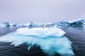 Gentoo Penguin alone on iceberg in Antarctica, scenic frozen landscape with blue ice and snowfall, Antarctic Peninsula