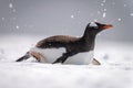 Gentoo penguin body surfing through sunlit snow Royalty Free Stock Photo