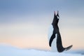 Gentoo Penguin calling at the sky during Antarctic sunset at Damoy Point Royalty Free Stock Photo