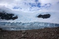 Gentoo penguin colony in Antarctica Royalty Free Stock Photo