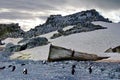 Gentoo penguin colony on a beach with a boat in Antarctica Royalty Free Stock Photo