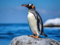 Ai Generated illustration Wildlife Concept of Gentoo Penguin