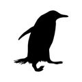 Gentoo Penguin Pygoscelis papua Silhouette Found In Sub Antartic Ocean Royalty Free Stock Photo