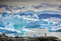 Gentoo penguin on a rock surrounded by the ocean and icebergs in Antarctica