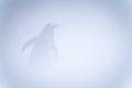 Gentoo penguin stands in snowstorm facing away Royalty Free Stock Photo