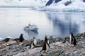Gentoo penguins in front of an Antarctic cruise ship, Antarctic Peninsula Royalty Free Stock Photo