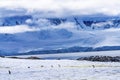 Gentoo Penguins Snow Highway Rookery Damoy Point Antarctica