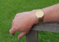 Gents gold wrist watch