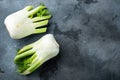 Genuine and fresh raw fennel, on grey background, top view with space for text