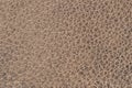 Genuine grainy leather texture closeup, brown color, matte surface, trendy background. Ideal for fashion clothing Royalty Free Stock Photo