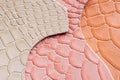 Genuine leather, colorful samples in a different colors, embossed under the skin reptile. Texture pattern for background